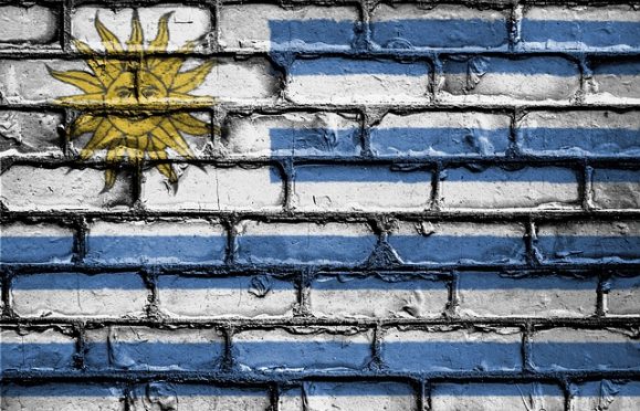 Due settimane in Uruguay: Call per 3 Youth Workers!